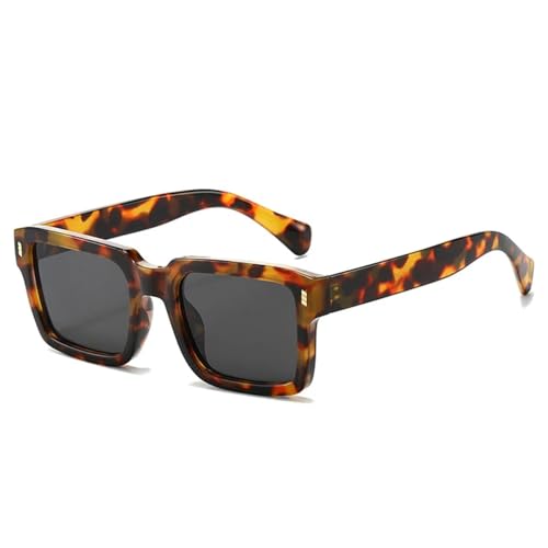 JRLLFD Retro-Sonnenbrille für Herren und Damen, modisch, luxuriös, für den Außenbereich, UV400 (Leopardengrau) von JRLLFD