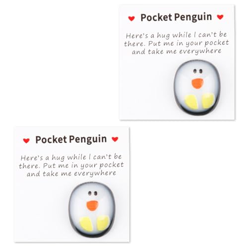 JRYXDS 2 Stück Pocket Hug Pocket Pinguin，Pinguin Geschenk, Pinguine Kleine Umarmung,Mini Tier Taschen Umarmungs Pinguin,Kleine Trost Aufmunterung Gute Besserung Umarmung Pinguin Anti Stress Geschenke von JRYXDS