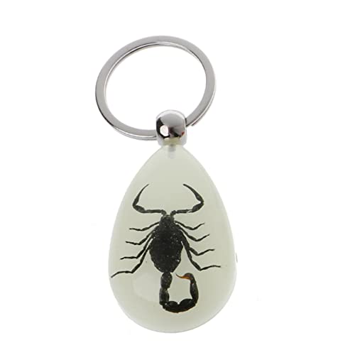 JSGHGDF Schlüsselanhänger aus Kunstharz, leuchtender Skorpion, Insektenexemplar, malerisches Touristensouvenir, Bernstein, trendiger Schmuck, Schwarzer Skorpion 1 JSGHGDF Schlüsselanhänger aus Kunstharz, leuchtender Skorpion, Insektenexemplar, malerisches Touristensouvenir, Bernstein, trendiger Schmuck, Schwarzer Skorpion 1 von JSGHGDF