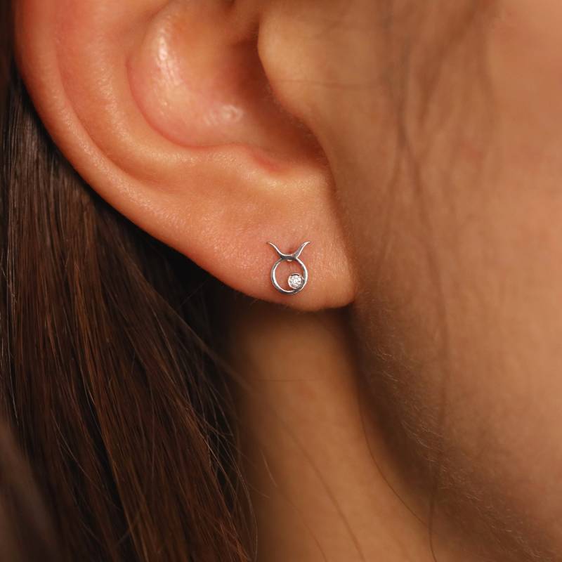 Taurus Sternzeichen Diamant Ohrring, Bolzenohrring, Diamantohrring, 14K Horoskop Constellation Schmuck, Einzelstück von JSVConcepts