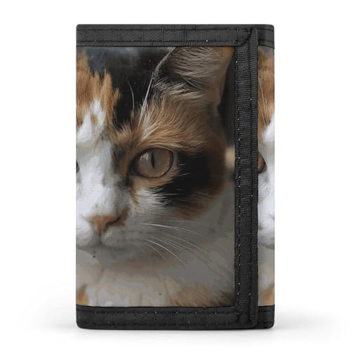 JTKBNVM A Cat Trifold Wallet Trifold Wallets for Men Women Slim Wallet Mens Wallet Trifold Front Pocket Wallet | Versatile Wallets with 8 Credit Card Holder, style, One Size, Stil:, Einheitsgröße von JTKBNVM