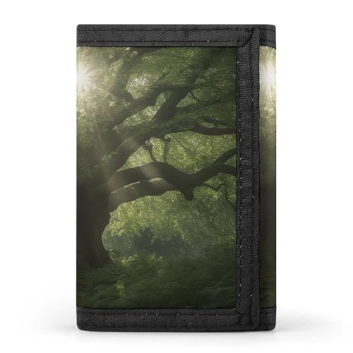 JTKBNVM Looking for Trees Trifold Wallet Trifold Wallets for Men Women Slim Wallet Mens Wallet Trifold Front Pocket Wallet | Versatile Wallets with 8 Credit Card Holder, Style, One Size, Stil:, von JTKBNVM