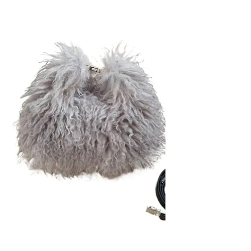 JTKSSCS Feder Handtasche Damen Kleine Schultertasche Weiche Plüsch Damen Pelzige Messenger Bags Weibliche Clutch Handtaschen(GRAY) von JTKSSCS
