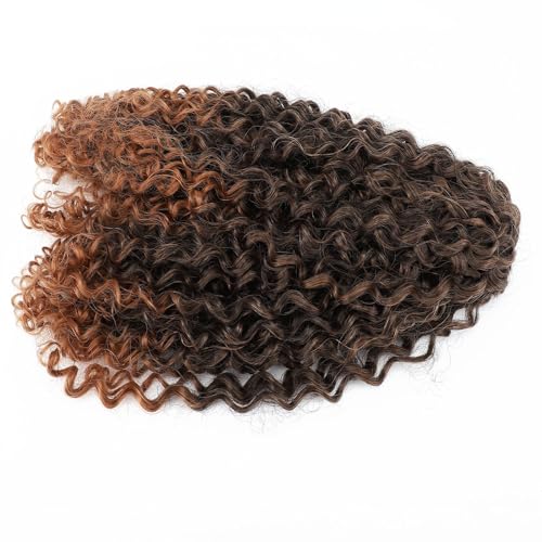 Pferdeschwanzverlängerung Hochtemperatur Synthetisches Haar Lockig Dachzug Pferdeschwanz Elastischer Lockiger Pferdeschwanz mit Kämmen für Frauen von JTLB