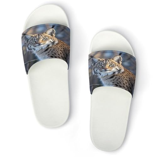 JTREWBV Sommer Hausschuhe Damen Herren Wilder Bobcat Print PVC Home Slippers Duschschuhe Bad-Sandalen rutschfest leicht zu reinigen, Weißer Stil, 11.5 UK Men/ 7 UK Women Wide JTREWBV Sommer Hausschuhe Damen Herren Wilder Bobcat Print PVC Home Slippers Duschschuhe Bad-Sandalen rutschfest leicht zu reinigen, Weißer Stil, 11.5 UK Men/ 7 UK Women Wide von JTREWBV