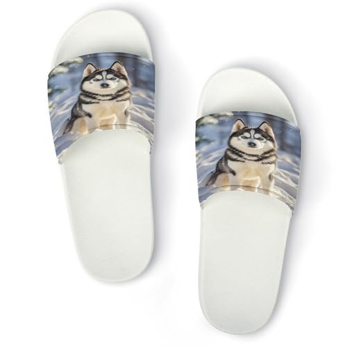 JTREWBV Sommer Hausschuhe Damen Herren Wolf im Schnee Druck PVC Home Slippers Duschschuhe Badezimmer Sandalen rutschfest leicht zu reinigen, Weißer Stil, 11.5 UK Men/ 6 UK Women Wide JTREWBV Sommer Hausschuhe Damen Herren Wolf im Schnee Druck PVC Home Slippers Duschschuhe Badezimmer Sandalen rutschfest leicht zu reinigen, Weißer Stil, 11.5 UK Men/ 6 UK Women Wide von JTREWBV