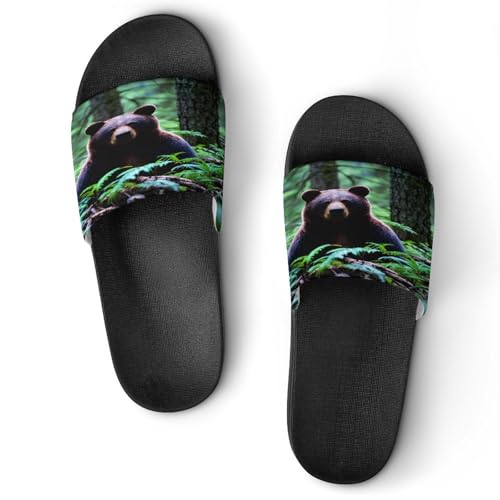 JTREWBV Sommer Hausschuhe für Damen und Herren Bär in der Wildnis Druck PVC Home Slippers Duschschuhe Badezimmer Sandalen rutschfest leicht zu reinigen, Schwarzer Stil, 44 EU JTREWBV Sommer Hausschuhe für Damen und Herren Bär in der Wildnis Druck PVC Home Slippers Duschschuhe Badezimmer Sandalen rutschfest leicht zu reinigen, Schwarzer Stil, 44 EU von JTREWBV