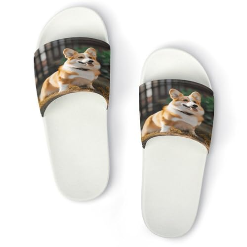 JTREWBV Sommer Hausschuhe für Damen und Herren Hund Corgi Print PVC Home Slippers Duschschuhe Badezimmer Sandalen rutschfest Leicht zu reinigen, Weißer Stil, 44 EU JTREWBV Sommer Hausschuhe für Damen und Herren Hund Corgi Print PVC Home Slippers Duschschuhe Badezimmer Sandalen rutschfest Leicht zu reinigen, Weißer Stil, 44 EU von JTREWBV