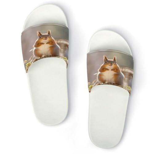 JTREWBV Sommerhausschuhe für Damen und Herren, Eichhörnchen, lustiger Tierdruck, PVC, Hausschuhe, Duschschuhe, Badezimmer, Sandalen, rutschfest, leicht zu reinigen, Weißer Stil, 44 EU JTREWBV Sommerhausschuhe für Damen und Herren, Eichhörnchen, lustiger Tierdruck, PVC, Hausschuhe, Duschschuhe, Badezimmer, Sandalen, rutschfest, leicht zu reinigen, Weißer Stil, 44 EU von JTREWBV