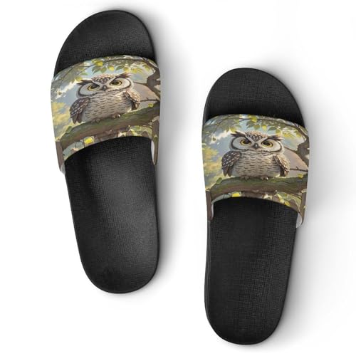 JTREWBV Sommerhausschuhe für Damen und Herren, Eulen-Druck, PVC, Hausschuhe, Duschschuhe, Bad-Sandalen, rutschfest, leicht zu reinigen, Schwarzer Stil, 11.5 UK Men/ 6 UK Women Wide JTREWBV Sommerhausschuhe für Damen und Herren, Eulen-Druck, PVC, Hausschuhe, Duschschuhe, Bad-Sandalen, rutschfest, leicht zu reinigen, Schwarzer Stil, 11.5 UK Men/ 6 UK Women Wide von JTREWBV