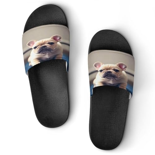 JTREWBV Sommerhausschuhe für Damen und Herren, Französische Bulldogge, bedruckt, PVC, Hausschuhe, Duschschuhe, Bad-Sandalen, rutschfest, leicht zu reinigen, Schwarzer Stil, 44 EU JTREWBV Sommerhausschuhe für Damen und Herren, Französische Bulldogge, bedruckt, PVC, Hausschuhe, Duschschuhe, Bad-Sandalen, rutschfest, leicht zu reinigen, Schwarzer Stil, 44 EU von JTREWBV
