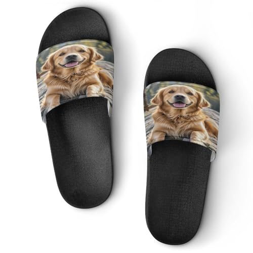 JTREWBV Sommerhausschuhe für Damen und Herren, Golden Retriever, Hunde-Aufdruck, PVC, Hausschuhe, Duschschuhe, Badezimmer, Sandalen, rutschfest, leicht zu reinigen, Schwarzer Stil, 44 EU JTREWBV Sommerhausschuhe für Damen und Herren, Golden Retriever, Hunde-Aufdruck, PVC, Hausschuhe, Duschschuhe, Badezimmer, Sandalen, rutschfest, leicht zu reinigen, Schwarzer Stil, 44 EU von JTREWBV