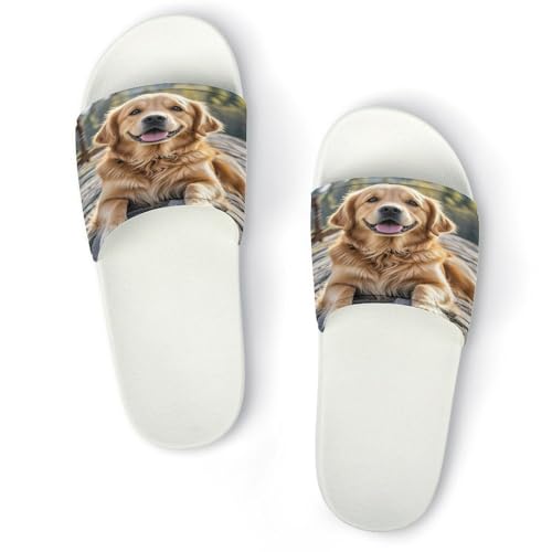 JTREWBV Sommerhausschuhe für Damen und Herren, Golden Retriever, Hunde-Aufdruck, PVC, Hausschuhe, Duschschuhe, Badezimmer, Sandalen, rutschfest, leicht zu reinigen, Weißer Stil, 44 EU JTREWBV Sommerhausschuhe für Damen und Herren, Golden Retriever, Hunde-Aufdruck, PVC, Hausschuhe, Duschschuhe, Badezimmer, Sandalen, rutschfest, leicht zu reinigen, Weißer Stil, 44 EU von JTREWBV