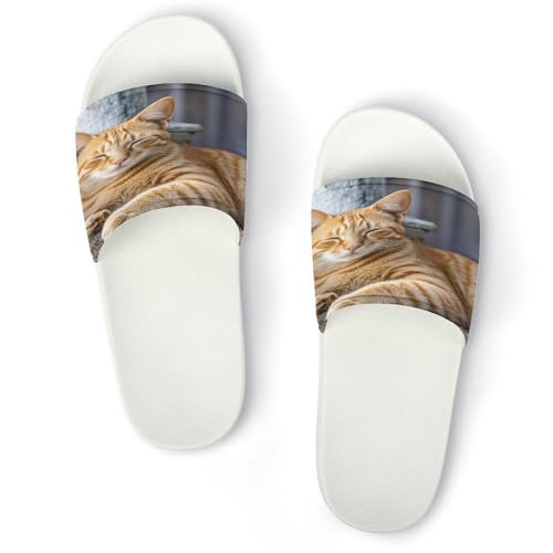 JTREWBV Sommerhausschuhe für Damen und Herren, Orange, Katze, schlafend, bedruckt, PVC, Hausschuhe, Duschschuhe, Badezimmer, Sandalen, rutschfest, leicht zu reinigen, Weißer Stil, 44 EU JTREWBV Sommerhausschuhe für Damen und Herren, Orange, Katze, schlafend, bedruckt, PVC, Hausschuhe, Duschschuhe, Badezimmer, Sandalen, rutschfest, leicht zu reinigen, Weißer Stil, 44 EU von JTREWBV