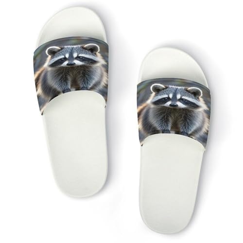 JTREWBV Sommerhausschuhe für Damen und Herren, Waschbär-Druck, PVC, Hausschuhe, Duschschuhe, Bad-Sandalen, rutschfest, leicht zu reinigen, Weißer Stil, 44 EU JTREWBV Sommerhausschuhe für Damen und Herren, Waschbär-Druck, PVC, Hausschuhe, Duschschuhe, Bad-Sandalen, rutschfest, leicht zu reinigen, Weißer Stil, 44 EU von JTREWBV