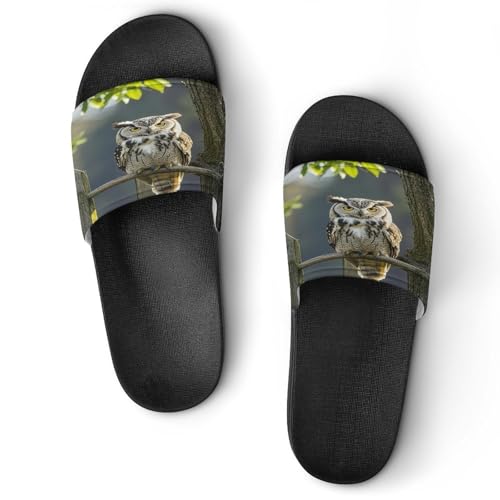 JTREWBV Sommerhausschuhe für Damen und Herren, Winter, Weiß, Eulen-Druck, PVC, Hausschuhe, Duschschuhe, Badezimmer, Sandalen, rutschfest, leicht zu reinigen, Schwarzer Stil, 44 EU JTREWBV Sommerhausschuhe für Damen und Herren, Winter, Weiß, Eulen-Druck, PVC, Hausschuhe, Duschschuhe, Badezimmer, Sandalen, rutschfest, leicht zu reinigen, Schwarzer Stil, 44 EU von JTREWBV