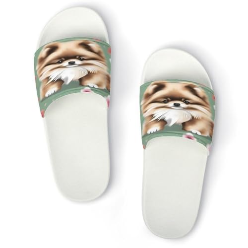 JTREWBV Sommerhausschuhe für Damen und Herren, Zwergspitz, Welpen, bedruckt, PVC, Hausschuhe, Duschschuhe, Bad-Sandalen, rutschfest, leicht zu reinigen, Weißer Stil, 44 EU JTREWBV Sommerhausschuhe für Damen und Herren, Zwergspitz, Welpen, bedruckt, PVC, Hausschuhe, Duschschuhe, Bad-Sandalen, rutschfest, leicht zu reinigen, Weißer Stil, 44 EU von JTREWBV
