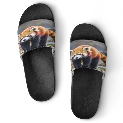 JTREWBV Sommerhausschuhe für Damen und Herren, kleiner roter Panda, Tierdruck, PVC, Hausschuhe, Duschschuhe, Badezimmer, Sandalen, rutschfest, leicht zu reinigen, Schwarzer Stil, 44 EU JTREWBV Sommerhausschuhe für Damen und Herren, kleiner roter Panda, Tierdruck, PVC, Hausschuhe, Duschschuhe, Badezimmer, Sandalen, rutschfest, leicht zu reinigen, Schwarzer Stil, 44 EU von JTREWBV