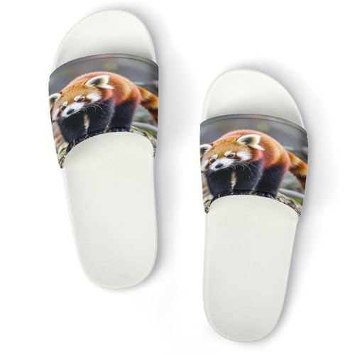 JTREWBV Sommerhausschuhe für Damen und Herren, kleiner roter Panda, Tierdruck, PVC, Hausschuhe, Duschschuhe, Badezimmer, Sandalen, rutschfest, leicht zu reinigen, Weißer Stil, 44 EU JTREWBV Sommerhausschuhe für Damen und Herren, kleiner roter Panda, Tierdruck, PVC, Hausschuhe, Duschschuhe, Badezimmer, Sandalen, rutschfest, leicht zu reinigen, Weißer Stil, 44 EU von JTREWBV