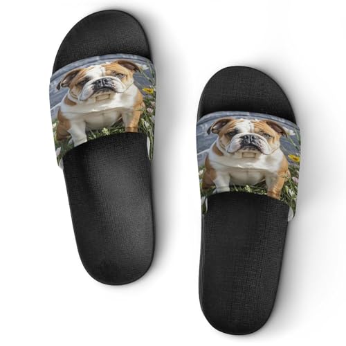 JTREWBV Sommerhausschuhe für Damen und Herren, lustiger Bulldoggen-Druck, PVC, Hausschuhe, Duschschuhe, Badezimmer, Sandalen, rutschfest, leicht zu reinigen, Schwarzer Stil, 11.5 UK Men/ 6.5 UK Women JTREWBV Sommerhausschuhe für Damen und Herren, lustiger Bulldoggen-Druck, PVC, Hausschuhe, Duschschuhe, Badezimmer, Sandalen, rutschfest, leicht zu reinigen, Schwarzer Stil, 11.5 UK Men/ 6.5 UK Women von JTREWBV