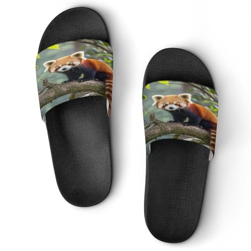 JTREWBV Sommerhausschuhe für Damen und Herren, roter Panda-Druck, PVC, Hausschuhe, Duschschuhe, Bad-Sandalen, rutschfest, leicht zu reinigen, Schwarzer Stil, 44 EU JTREWBV Sommerhausschuhe für Damen und Herren, roter Panda-Druck, PVC, Hausschuhe, Duschschuhe, Bad-Sandalen, rutschfest, leicht zu reinigen, Schwarzer Stil, 44 EU von JTREWBV