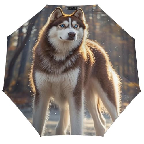 JTREWBV Tragbarer, winddichter faltbarer Regenschirm, Husky-Hunde-Druck, dreifach gefaltet, automatischer Regenschirm, Reise-Faltschirm mit Abdecktasche, Schwarz , Einheitsgröße von JTREWBV