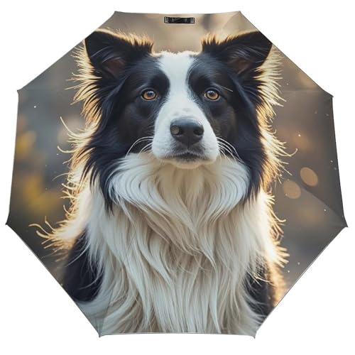 JTREWBV Tragbarer, winddichter faltbarer Regenschirm, niedlicher Border Collie-Druck, dreifach gefaltet, automatischer Regenschirm, Reise-Faltschirm mit Abdecktasche, Schwarz , Einheitsgröße von JTREWBV