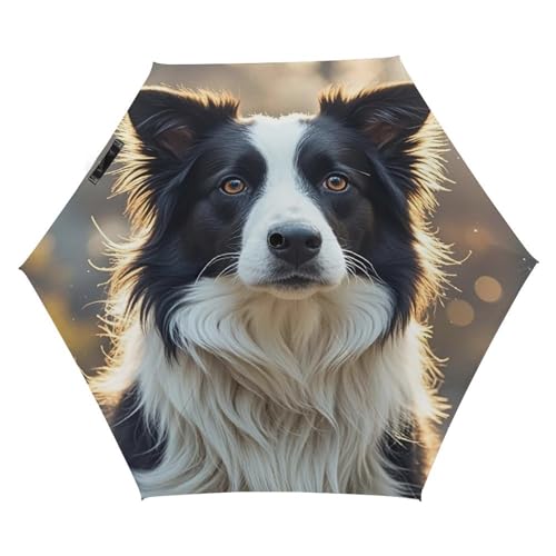 JTREWBV Tragbarer, winddichter faltbarer Regenschirm, niedlicher Border Collie-Druck, fünffach gefalteter manueller Regenschirm, Reise-Faltschirm mit Abdecktasche, Schwarz , Einheitsgröße von JTREWBV