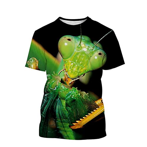 Männer 3D-Druck T-Shirts Lässige Tiere Drucke Insekten Gottesanbeterin Grafik Lustige Kurzarm Atmungsaktive Bequeme Sommeroberteile (Color : B, Size : 4XL) von JUGGO