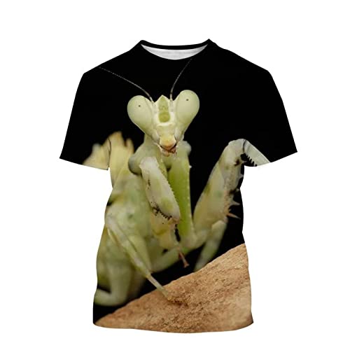 Männer 3D-Druck T-Shirts Lässige Tiere Drucke Insekten Gottesanbeterin Grafik Lustige Kurzarm Atmungsaktive Bequeme Sommeroberteile (Color : C, Size : 4XL) von JUGGO