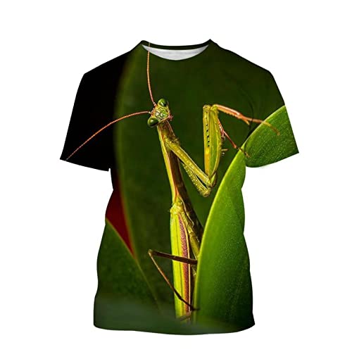 Männer 3D-Druck T-Shirts Lässige Tiere Drucke Insekten Gottesanbeterin Grafik Lustige Kurzarm Atmungsaktive Bequeme Sommeroberteile (Color : D, Size : 4XL) von JUGGO