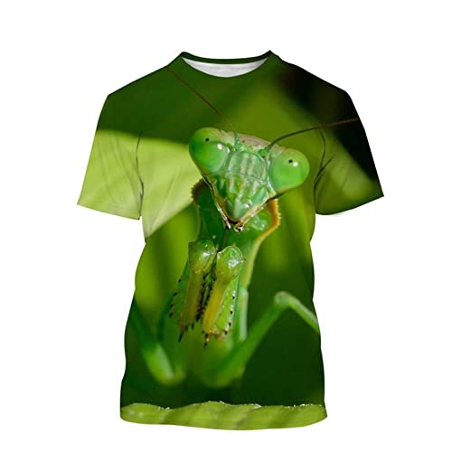 Männer 3D-Druck T-Shirts Lässige Tiere Drucke Insekten Gottesanbeterin Grafik Lustige Kurzarm Atmungsaktive Bequeme Sommeroberteile (Color : E, Size : 4XL) von JUGGO