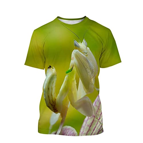 Männer 3D-Druck T-Shirts Lässige Tiere Drucke Insekten Gottesanbeterin Grafik Lustige Kurzarm Atmungsaktive Bequeme Sommeroberteile (Color : F, Size : 4XL) von JUGGO