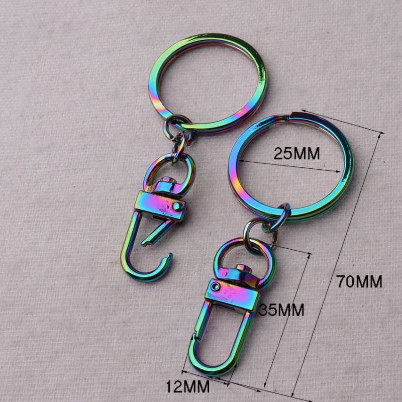 25mm Regenbogen O-Ringe Personalisierte Mehrfarbige Schlüsselanhänger Karabinerhaken Edelstahl Charm Push-Verschluss Für Auto - Oder von JUIYTREEHOUSE