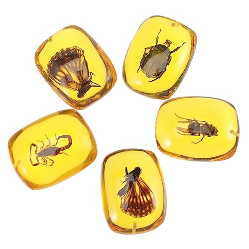 JUMPLAWN 5 Stück Teiliges Bernstein Insekten Anhänger Vorgebohrt Hochwertiges Einzigartiges DIY Schmuckzubehör für Halsketten Armbänder Schlüsselringe Accessoires von JUMPLAWN