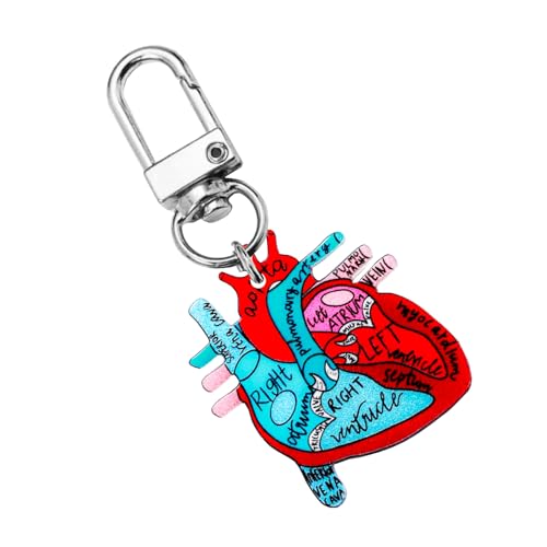 JUNNASALIKER Herz Anatomie Schlüsselbund Orament Educational Heart Keychain Charme Mit Menschlicher Anatomie Für Wissenschaftsliebhaber JUNNASALIKER Herz Anatomie Schlüsselbund Orament Educational Heart Keychain Charme Mit Menschlicher Anatomie Für Wissenschaftsliebhaber von JUNNASALIKER