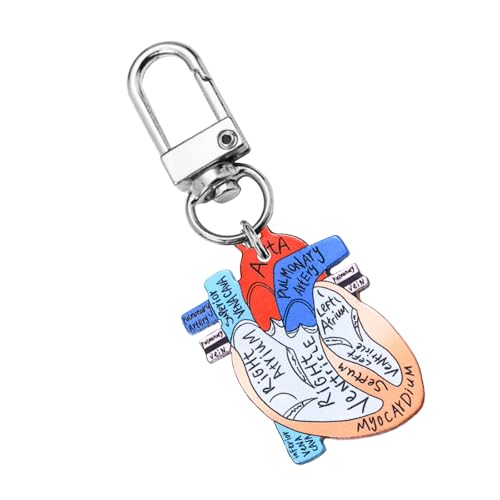 JUNNASALIKER Herz Anatomie Schlüsselbund Orament Educational Heart Keychain Charme Mit Menschlicher Anatomie Für Wissenschaftsliebhaber von JUNNASALIKER