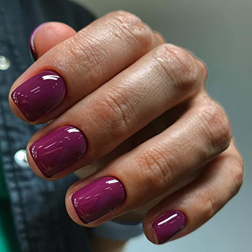 JUSTOTRY 24 Stück Einfarbig Eckig Nägel Zum Aufkleben Kurz,Glossy Plum Rot Press on Nails,Pretty Kunstnägel Fake Nails,Square Fingernägel Künstliche Nägel Mittel für Frauen von JUSTOTRY