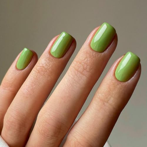 JUSTOTRY 24 Stück Sage Grün Nägel Zum Aufkleben Kurz,Einfarbig Eckig Press on Nails Design,Glossy Kunstnägel Fake Nails mit Kleber,French Square Fingernägel Künstliche Nägel Mittel für Frauen von JUSTOTRY