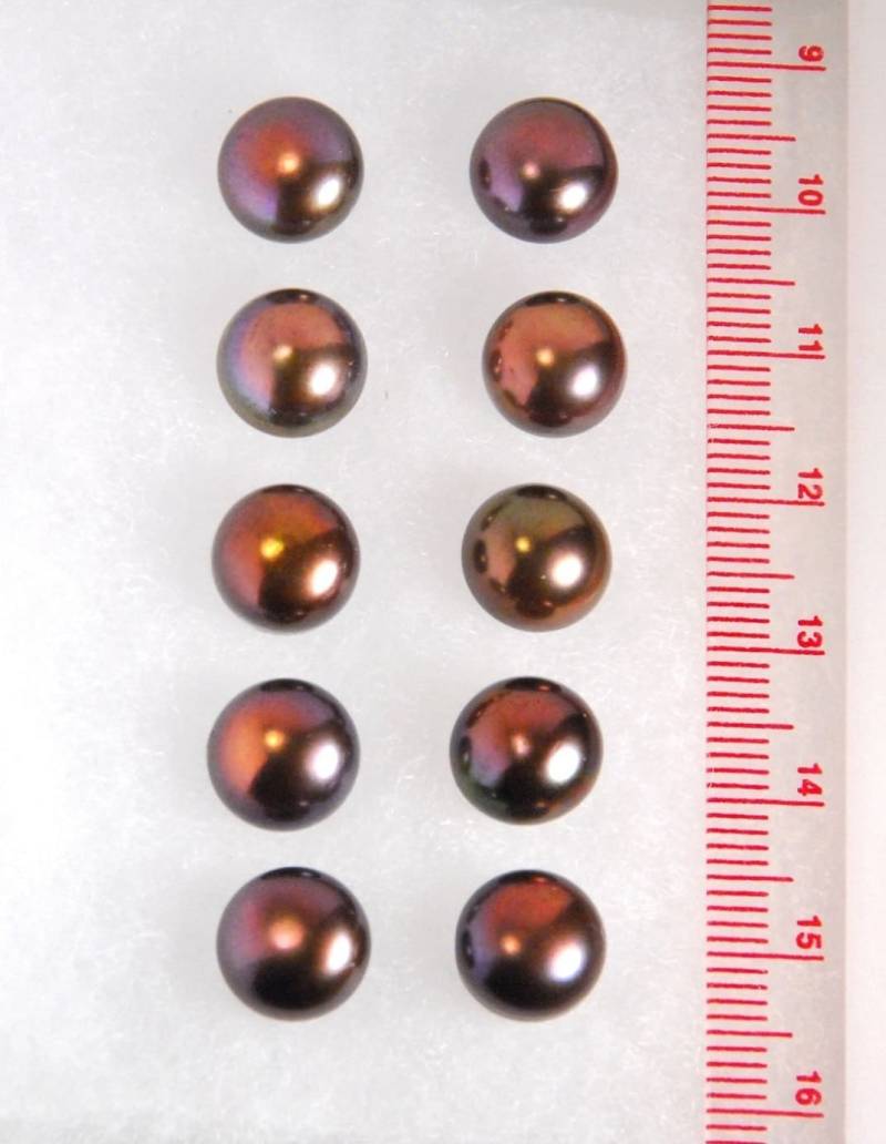 Fünf Paare Braut Satz 9-10 Mm Grade Aaa Süßwasser Perle Ohr Ohrstecker, Perlen Ohrringe-Pfosten, Mit Sterling Silber Post, Dunkelbraun von JWbeads