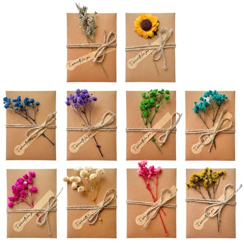 JYNVO 10 Stück Getrocknete Blumen Grußkarten mit Kraftumschlag,10 verschiedene Arten von Blumen,Handgefertigte Grußkarten,Dankskarten, Dank oder Anlässe (A) von JYNVO