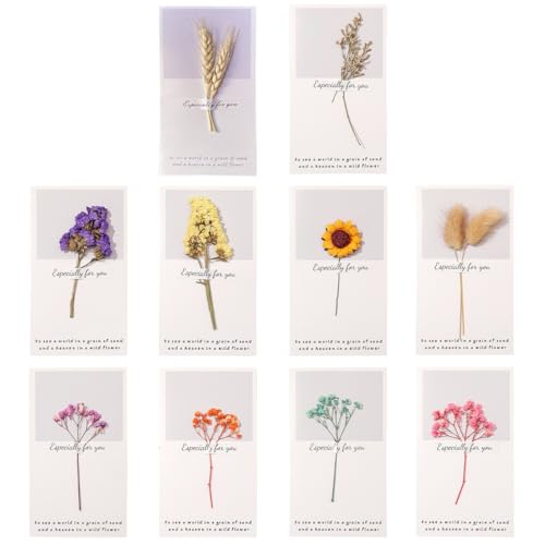 JYNVO 10 Stück Getrocknete Blumen Grußkarten mit Kraftumschlag,10 verschiedene Arten von Blumen,Handgefertigte Grußkarten,Dankskarten, Dank oder Anlässe (B) von JYNVO