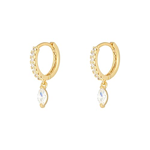 Beliebte Zirkon -Reifenoopringe für Frauen rund durchdringende Ohrringohrschnalle Schmuck Pendientes von JZFOACHR