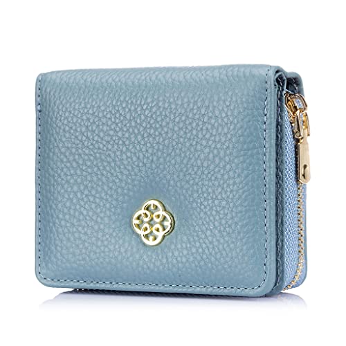 JZFOACHR Frauen Kurze Brieftaschen Mode kleine Münzhandlung Frauen Lederkartenhalter ID Case Wallet, Gepäck (C) von JZFOACHR