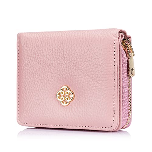 JZFOACHR Frauen Kurze Brieftaschen Mode kleine Münzhandlung Frauen Lederkartenhalter ID Case Wallet, Gepäck (C) von JZFOACHR