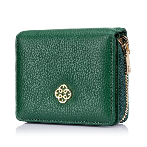 JZFOACHR Frauen Kurze Brieftaschen Mode kleine Münzhandlung Frauen Lederkartenhalter ID Case Wallet, Gepäck (C) von JZFOACHR