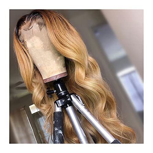Perücke Highlight Perücken menschliches Haar Körper Welle Spitze Frontalperücke Honig blonde braun gefärbte Perücke 13 × 4 Ombre Spitzenverschluss Perücke für Frauen graue Perücken für Frauen (20in von JZFOACHR