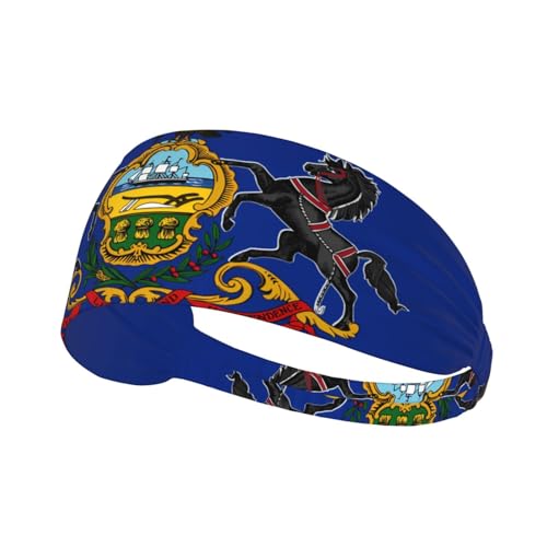 JZQZH Pennsylvania Sport-Stirnband, hochelastisch, atmungsaktiv, leicht und langlebig, für Laufen, Fitness, Yoga, Radfahren JZQZH Pennsylvania Sport-Stirnband, hochelastisch, atmungsaktiv, leicht und langlebig, für Laufen, Fitness, Yoga, Radfahren von JZQZH