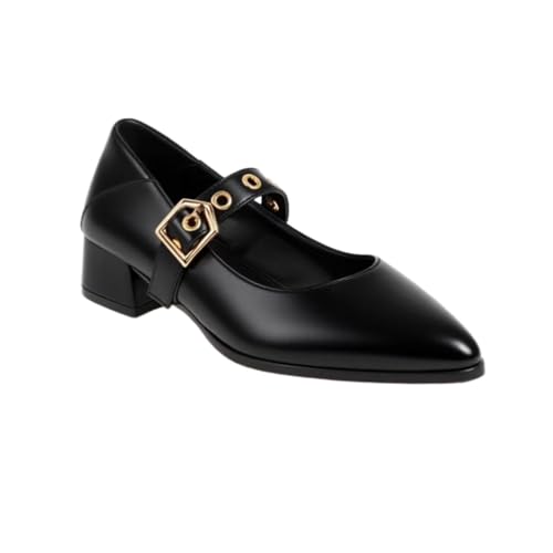 Frauen Spitz - Zehe Hochzeit Party Kleid Schuhe Niedriger Blockabsatz Mary Janes Retro Knöchelriemen Büro Pumps,Schwarz,46 EU von JZWBLDS