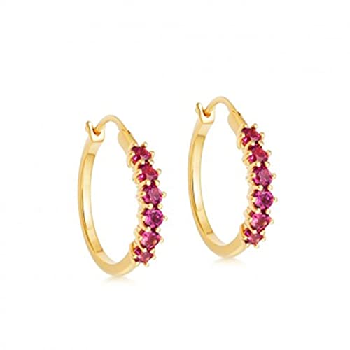 JZWCHQ Bunte Zirkon -Reifenoopringe für Frauen durchdringende Ohrring -Juwelier von JZWCHQ